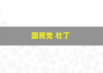 国民党 壮丁